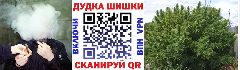 Купить закладки  Заринск  Марихуана THC 21% 